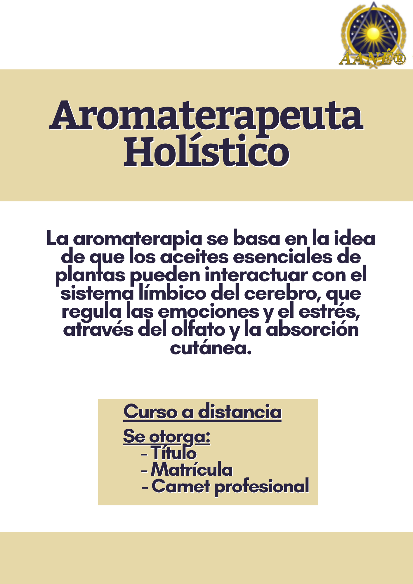 Aromaterapeuta Holístico